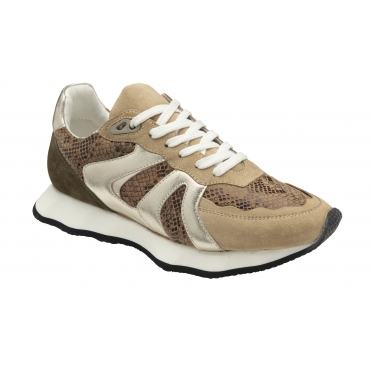 Ravel Women's Innes Trainers