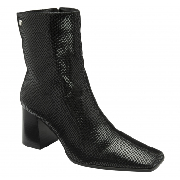 Ravel Women's Meldon Ankle Boots